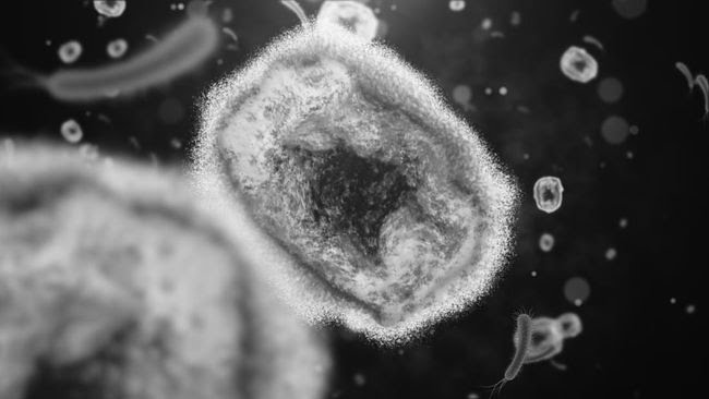 Ilustrasi virus (Foto: Getty Images/iStockphoto/kontekbrothers)