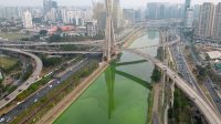 Sungai Besar di Brasil Berubah Hijau Zamrud