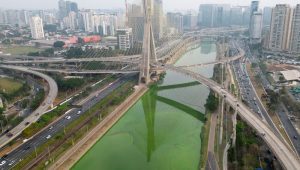 Sungai Besar di Brasil Berubah Hijau Zamrud