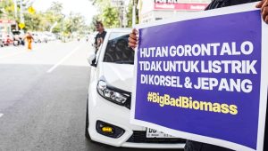 Kebun Energi Gorontalo : Kerusakan Ekologis dan Bentuk Penjajahan Baru 