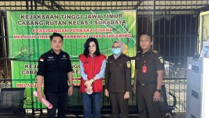 Ibu Ronald Tannur Ikut Ditetapkan sebagai Tersangka Suap Hakim