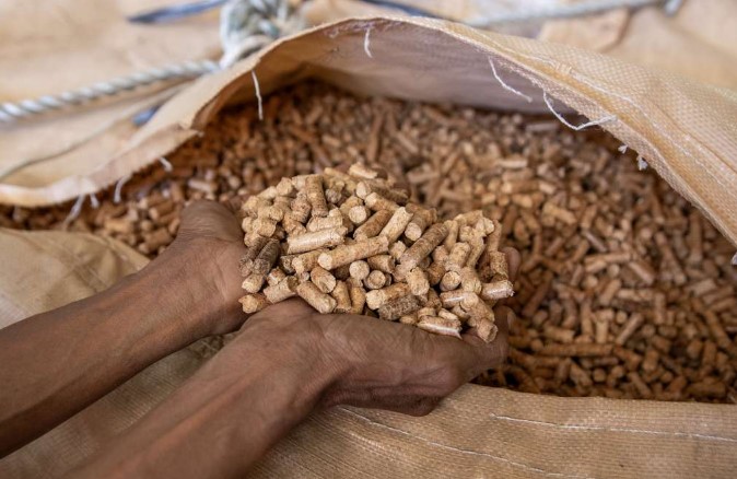 Hasil akhir dari olahan kayu menjadi wood pellet. (Foto : Forest Watch Indonesia)