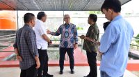 Perusahaan Ekspor Impor Logistik Hadir di Gorontalo, Klaim Kembangkan Perindustrian Daerah