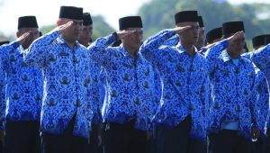 Transformasi ASN Dipersiapkan Pemerintah untuk Wujudkan Indonesia Maju 2045