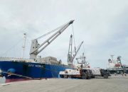 Indonesia akan Stop Impor 4 Pangan ini di 2025