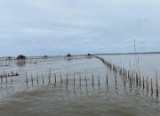 Pagar Laut Misterius 30 Km di Tangerang Milik PIK 2?