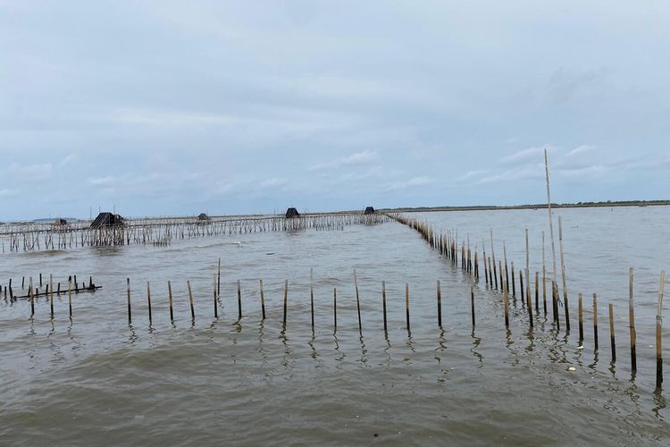 Pagar Laut Misterius 30 Km di Tangerang. (Foto : Kompas)