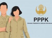 Ini Alasan BKPP Gorontalo Utara Batalkan Hasil Seleksi Calon PPPK