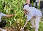 Tabebuya Tambah Cantik Pesona Wisata Danau Perintis