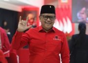 Sekjen PDIP Hasto Kristiyanto. (Foto : SINDOnews)