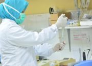 Hari Persatuan Farmasi Indonesia: Sejarah, Peran, dan Tujuan Peringatannya