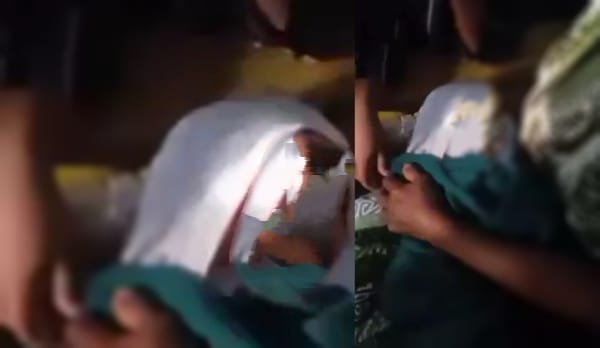 Potongan gambar video Penemuan bayi di Desa Ombulo, Kecamatan Limboto Barat, Kabupaten Gorontalo pada Sabtu (15/2/2025) pagi. (Foto : Ist.)
