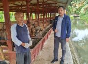 Wakil Ketua DPRD Provinsi Gorontalo Kunjungi Peternakan di Sipatana, Lihat Potensi Ekonomi Lokal