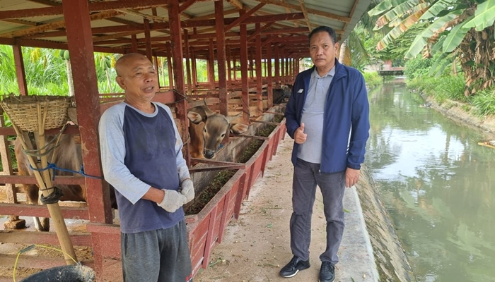 Wakil Ketua DPRD Provinsi Gorontalo, Ridwan Monoarfa saat mengunjungi sebuah peternakan sapi di Kecamatan Sipatana, Kota Gorontalo, Rabu (19/3/2025). (Foto : Dok. Istimewa)
