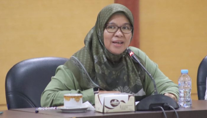 Perjuangan Femy Udoki Terkait DOB Bone Pesisir Didukung Baleg DPR RI
