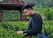 Penarikan Dana Daerah dari BSG : Langkah Strategis atau Ancaman Stabilitas?
