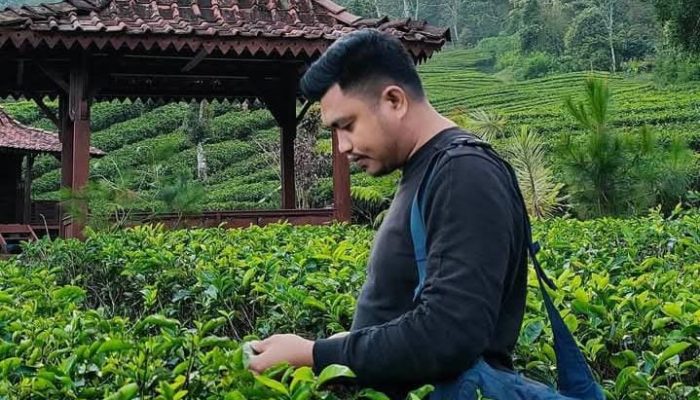 Penarikan Dana Daerah dari BSG : Langkah Strategis atau Ancaman Stabilitas?