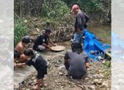 Para penambang di Kabupaten Boalemo, Provinsi Gorontalo./Penagar.id 