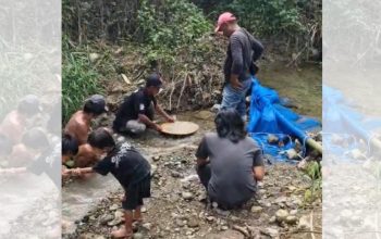 Para penambang di Kabupaten Boalemo, Provinsi Gorontalo./Penagar.id 
