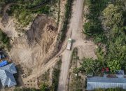 PT BJA, IGL, dan BTL di Pusaran Kritik: Alarm Deforestasi dari Korea Selatan