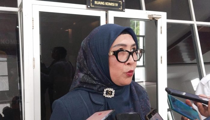 Komisi IV Usulkan Diskresi Kontrak BPJS dan RS Bioklinik