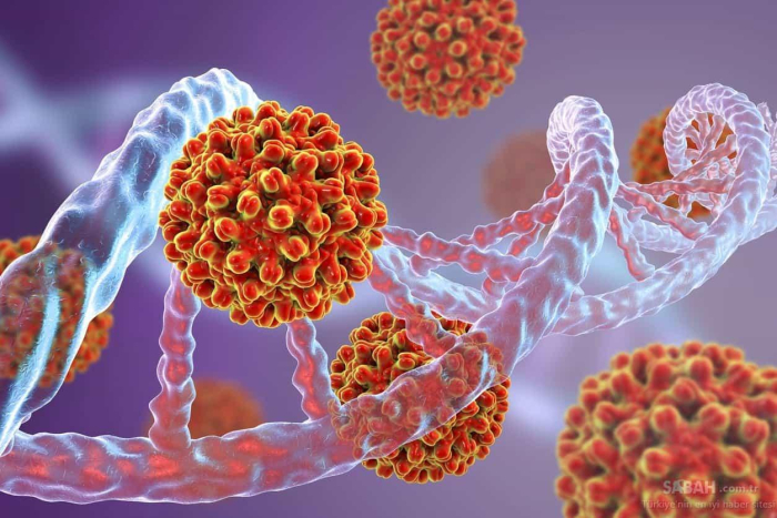 Ilustrasi Hepatitis B. (Foto : hellosehat)