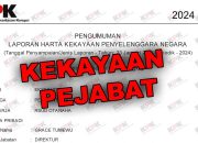 LHKPN Direktur Rumah Sakit Umum Daerah (RSUD) Otanaha Kota Gorontalo, dr. Grace Tumewu./Penagar.id