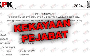 LHKPN Direktur Rumah Sakit Umum Daerah (RSUD) Otanaha Kota Gorontalo, dr. Grace Tumewu./Penagar.id