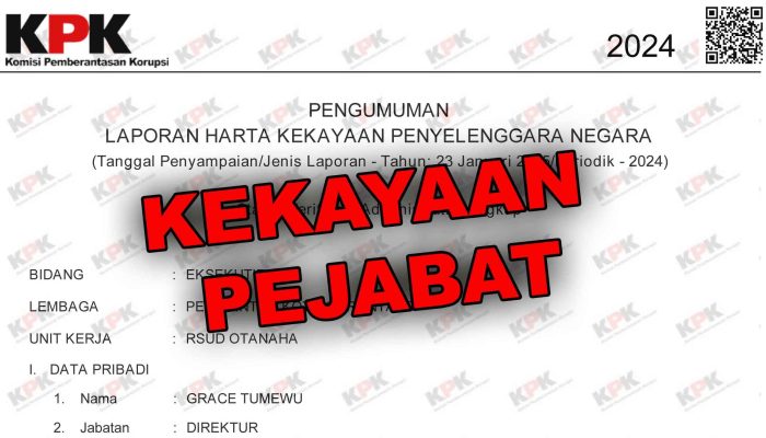Akui Diperiksa Terkait Kasus Proyek PEN, Segini Harta Direktur Otanaha dr. Grace Tumewu
