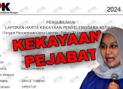 LHKPN Direktur Rumah Sakit Umum Daerah (RSUD) Otanaha Kota Gorontalo, dr. Grace Tumewu./Penagar.id