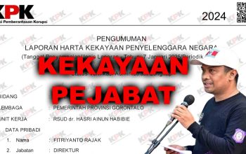 LHKPN Direktur RSUD Hasri Ainun Habibie, Fitriyanto Rajak./Penagar.id