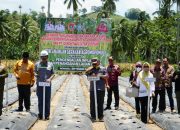 Thariq Modanggu saat menghadiri pencanangan Gerakan Agro Mopomulo di Desa Tudi, Kecamatan Monano, Kabupaten Gorontalo Utara, Kamis (4/9/2025).(Foto : Dok. Kominfo)