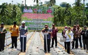 Thariq Modanggu saat menghadiri pencanangan Gerakan Agro Mopomulo di Desa Tudi, Kecamatan Monano, Kabupaten Gorontalo Utara, Kamis (4/9/2025).(Foto : Dok. Kominfo)