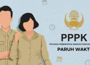 Ilustrasi PPPK Paruh Waktu.(Foto : Dok.Ist)