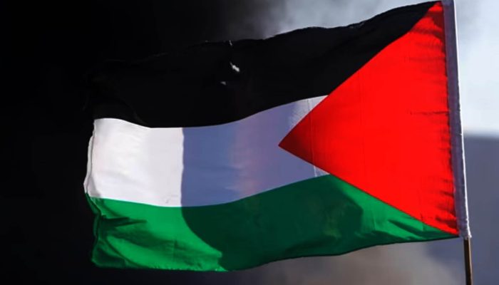 Resolusi Palestina Disahkan PBB, AS dan Sekutu hingga Tetangga RI Kompak Menolak