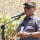 Bupati Gorontalo Utara, Thariq Modanggu. (Foto : Dok. Kominfo)