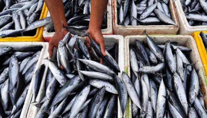 PPI Tongo di Bone Pantai Bakal Diaktifkan Kembali