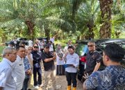 Komisi I DPRD Provinsi Gorontalo mendampingi tim KPK RI dalam kegiatan peninjauan lapangan dan dialog bersama para petani sawit di Kabupaten Gorontalo, Rabu (12/11/25). (Foto : Dok. HUMAS DPRD)