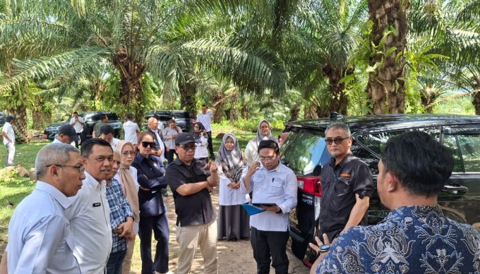 DPRD Provinsi Gorontalo Dampingi KPK Tinjau Lahan Sawit