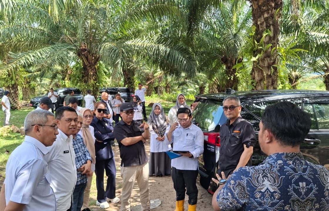 Komisi I DPRD Provinsi Gorontalo mendampingi tim KPK RI dalam kegiatan peninjauan lapangan dan dialog bersama para petani sawit di Kabupaten Gorontalo, Rabu (12/11/25). (Foto : Dok. HUMAS DPRD)