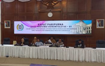 La Ode Haimuddin Apresiasi Kinerja Pansus Pertambangan