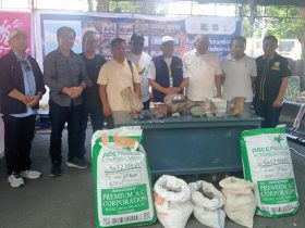 APRI Provinsi Gorontalo menampilkan potensi Batu Galena dari tiga wilayah di Gorontalo pada ajang PENAS XVII./Penagar.id