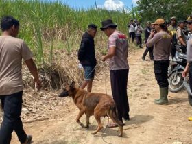 Polisi gunakan bantuan anjing pelacak guna mencari kemungkinan jejak korban Elsanti Ibrahim alias Eca, warga Desa Mekar Jaya, Kecamatan Wonosari, Kabupaten Boalemo.(Foto : Dok. Polri)