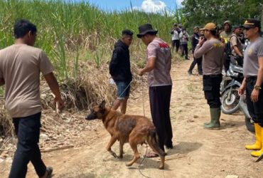 Polisi gunakan bantuan anjing pelacak guna mencari kemungkinan jejak korban Elsanti Ibrahim alias Eca, warga Desa Mekar Jaya, Kecamatan Wonosari, Kabupaten Boalemo.(Foto : Dok. Polri)