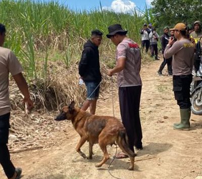 Polisi gunakan bantuan anjing pelacak guna mencari kemungkinan jejak korban Elsanti Ibrahim alias Eca, warga Desa Mekar Jaya, Kecamatan Wonosari, Kabupaten Boalemo.(Foto : Dok. Polri)