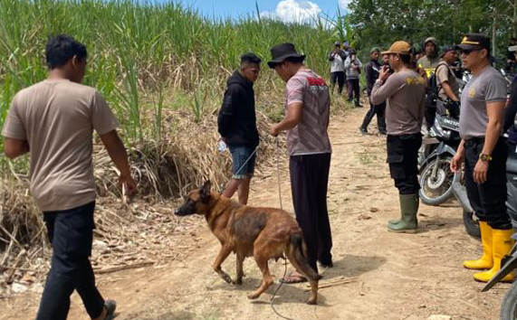 Polisi gunakan bantuan anjing pelacak guna mencari kemungkinan jejak korban Elsanti Ibrahim alias Eca, warga Desa Mekar Jaya, Kecamatan Wonosari, Kabupaten Boalemo.(Foto : Dok. Polri)