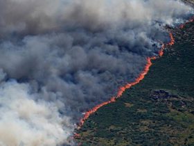Kebakaran hutan di Spanyol dan Prancis. (Foto: REUTERS/Ana Beltran)