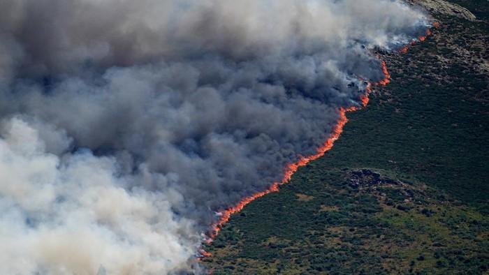 Kebakaran hutan di Spanyol dan Prancis. (Foto: REUTERS/Ana Beltran)